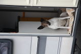 IMG 8875