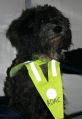 Bild9