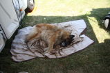 IMG 6249